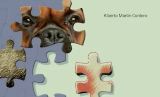 [pdf电子书]Bacterial Skin Infections in Small Animals